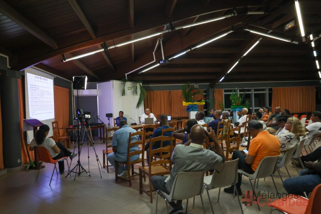 LE ZOUK, GENÈSE ET REPRÉSENTATION POPULAIRE-35