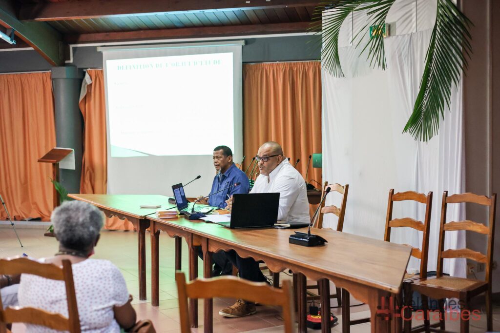LE ZOUK, GENÈSE ET REPRÉSENTATION POPULAIRE-36